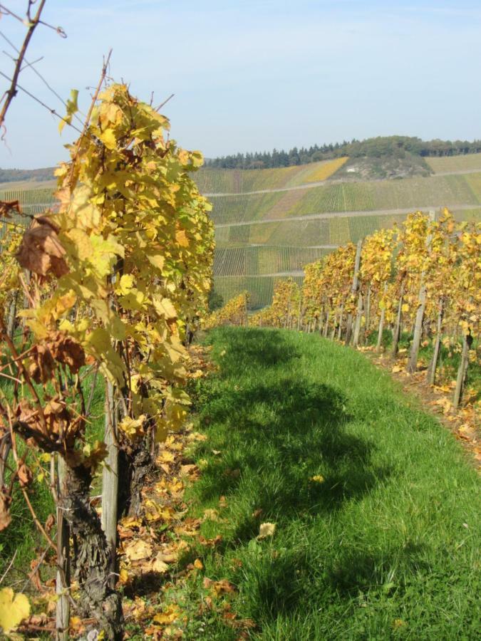 Mosel-Auszeit Apartman Brauneberg Kültér fotó