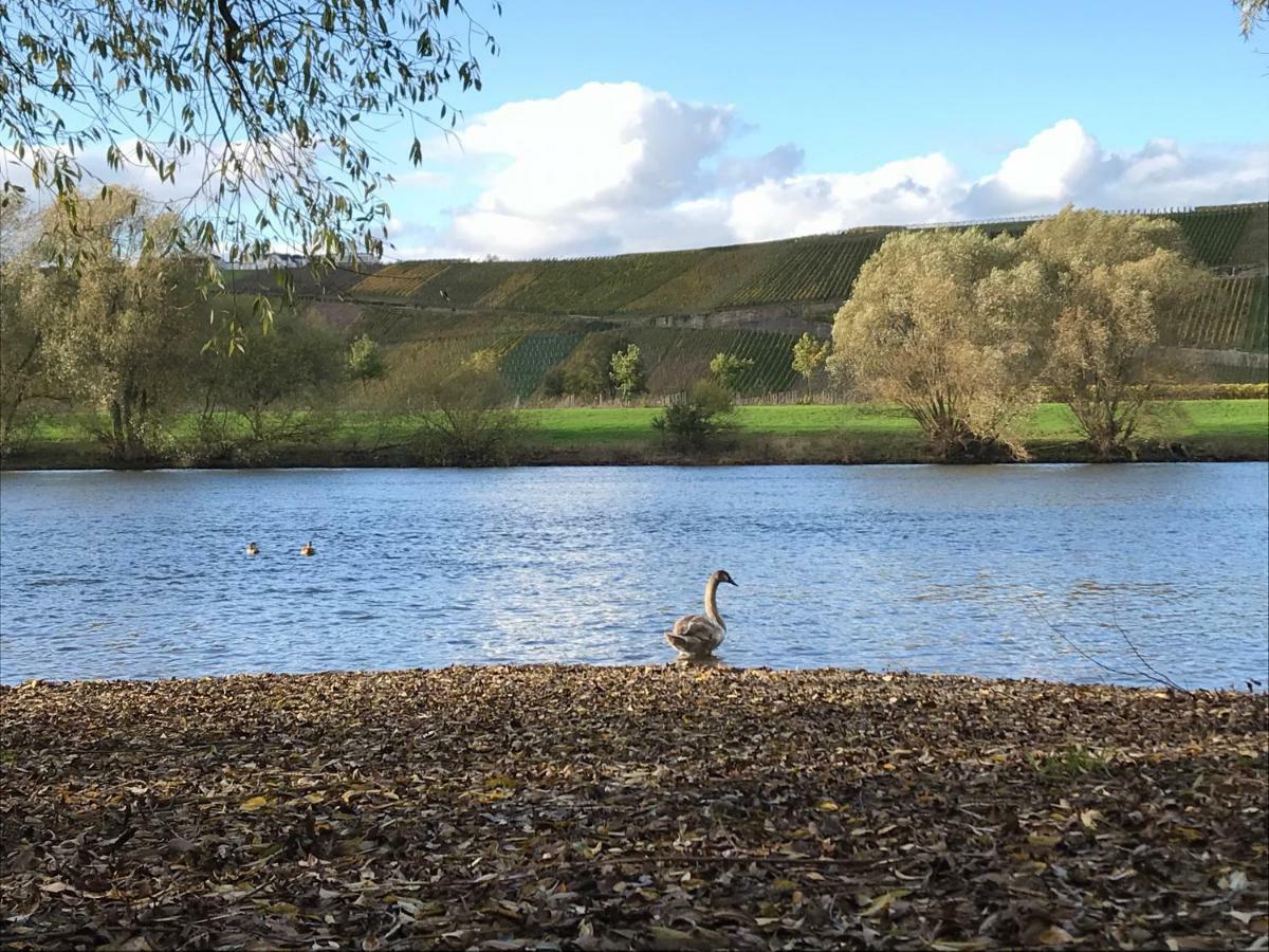 Mosel-Auszeit Apartman Brauneberg Kültér fotó