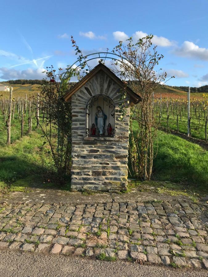 Mosel-Auszeit Apartman Brauneberg Kültér fotó