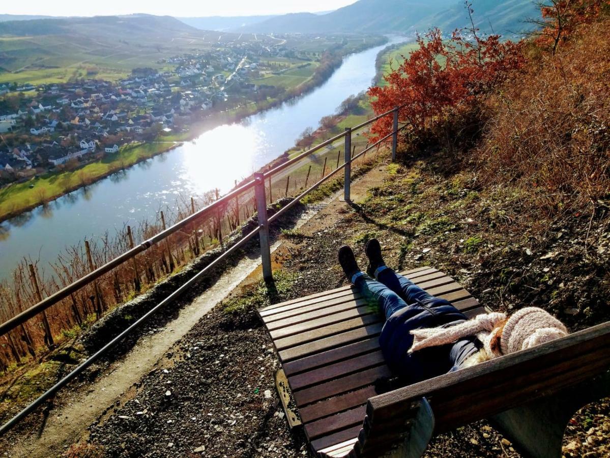 Mosel-Auszeit Apartman Brauneberg Kültér fotó