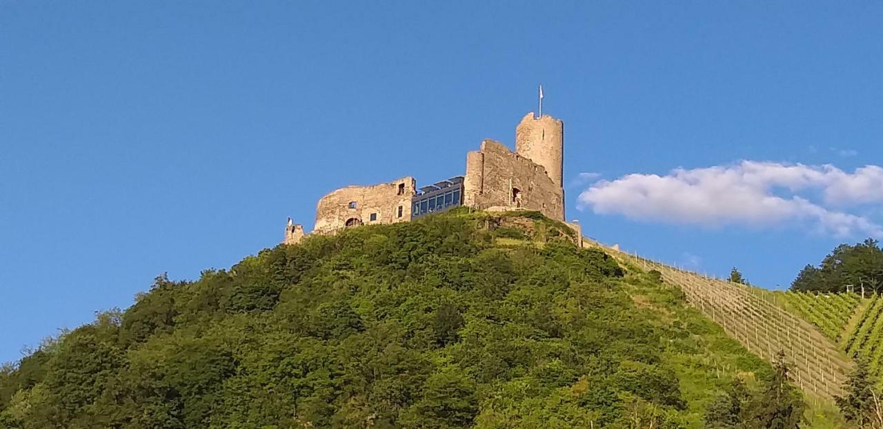 Mosel-Auszeit Apartman Brauneberg Kültér fotó